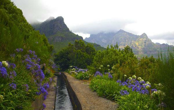 Machico Nature 외부 사진